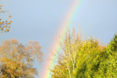 FB_IMG_1510473841392