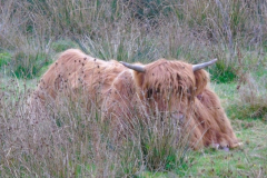 IMG_20221106_182351_066