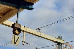 IMG_20221121_130540_958